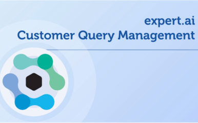 customer query management